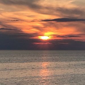 Meet your Posher, Janine